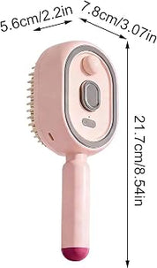 Electric Spray Retractable Air Cushion Comb